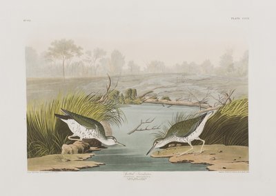 Illustration from 