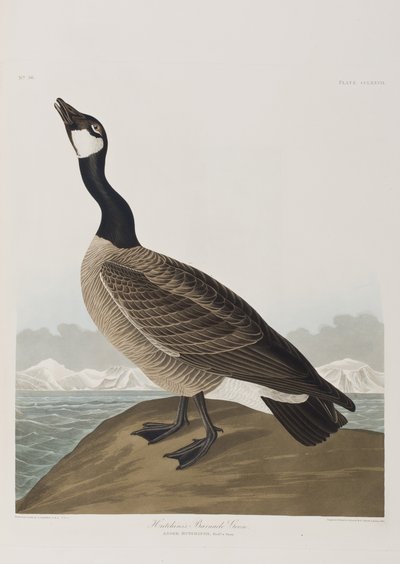 Illustration from 