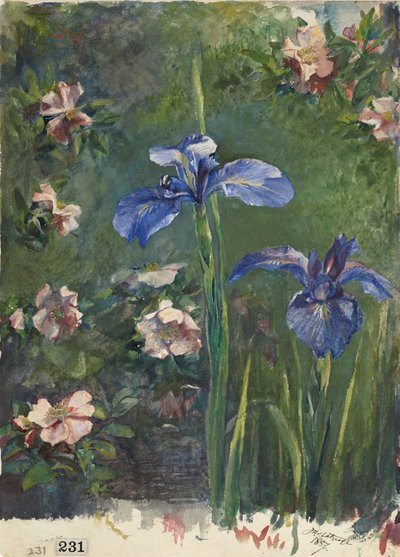 Wild Roses and Irises by John La Farge