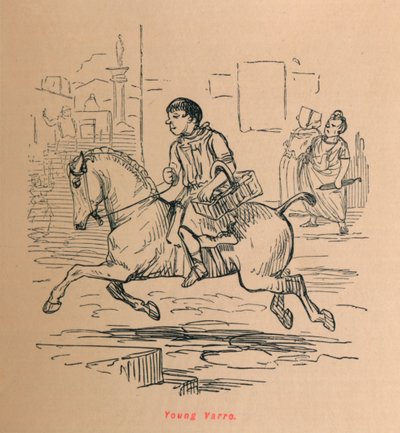 Young Varro by John Leech