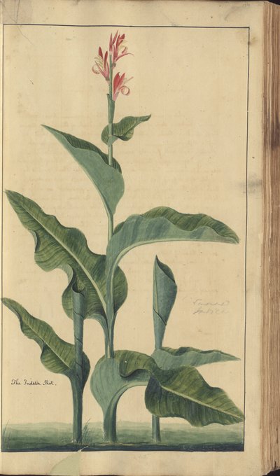 A page from the 