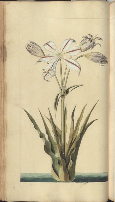 A page from the 