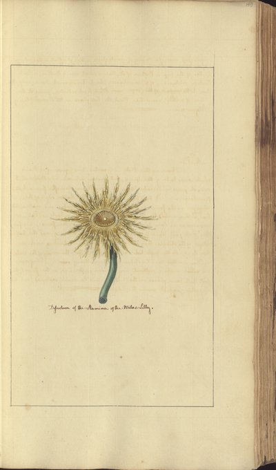 A page from the 