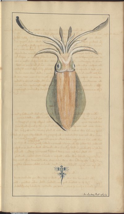 Lindsay Drawings Vol. VII, 29 by John Lindsay
