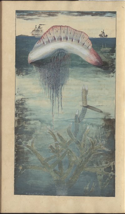 Lindsay Drawings Vol. VII, 30 by John Lindsay
