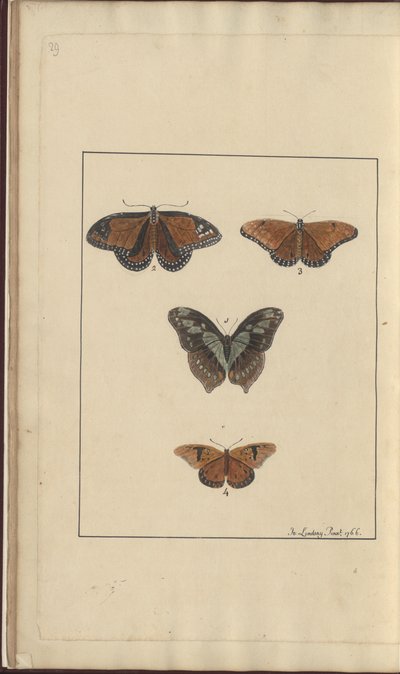 Lindsay Drawings Vol. VI, 29 by John Lindsay