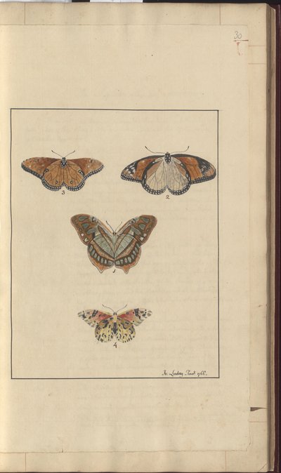 Lindsay Drawings Vol. VI, 30 by John Lindsay