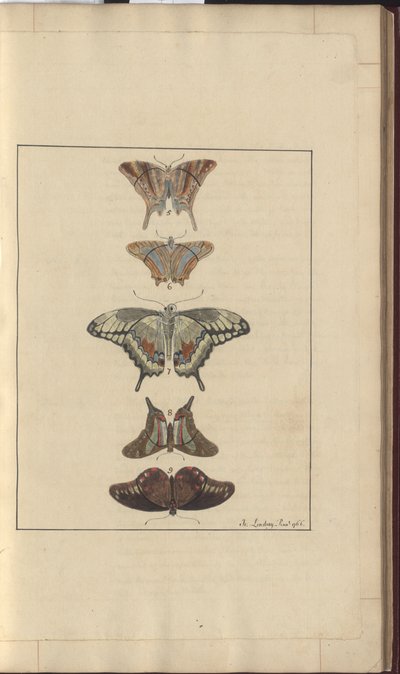 Lindsay Drawings Vol. VI, 32 by John Lindsay