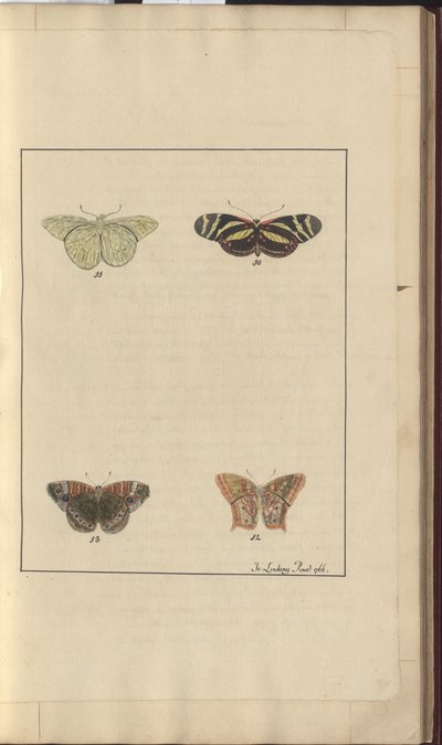 Lindsay Drawings Vol. VI, 36 by John Lindsay