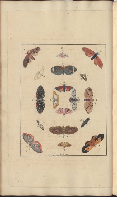 Lindsay Drawings Vol. VI, 63 by John Lindsay