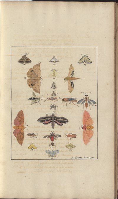 Lindsay Drawings Vol. VI, 68 by John Lindsay