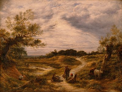Hampstead Heath, c.1855-56 by John Linnell