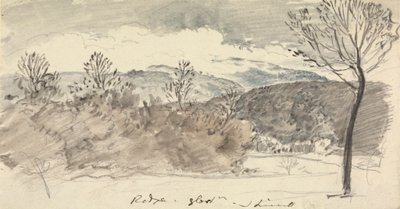 View at Mr. Sheppard