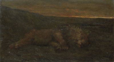 Sleeping Lion by Night by John Macallan Swan