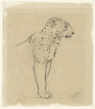 Study of a Standing Leopard by John Macallan Swan