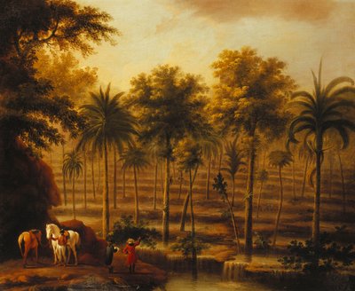 A View of Roaring River Cascades, Jamaica by John Milton