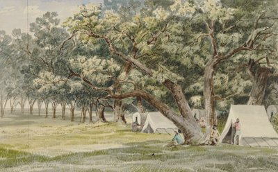 A Cottonwood Grove by John Mix Stanley
