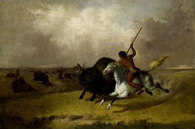 Buffalo Hunt on the Southwestern Prairies by John Mix Stanley