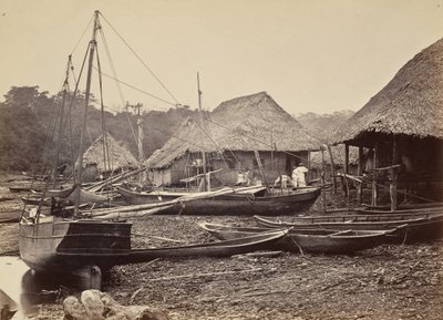 Tropical Scenery, Landing, Chipigana by John Moran