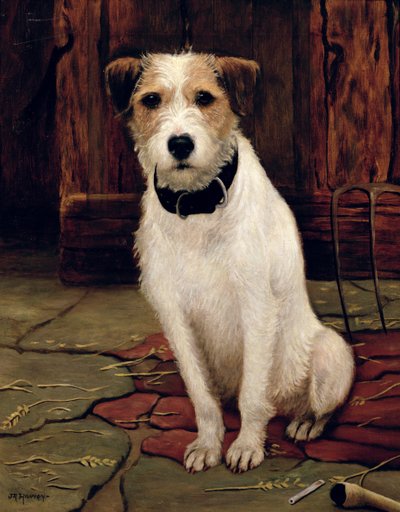 Portrait of Terrier by John Rabone Harvey