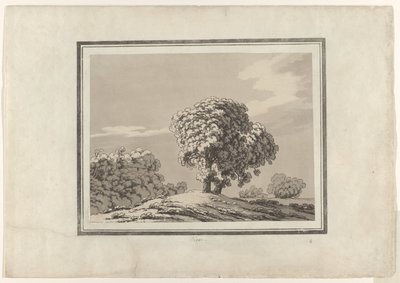 Elm by John Robert Cozens