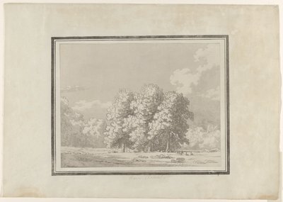 Horse Chestnut by John Robert Cozens