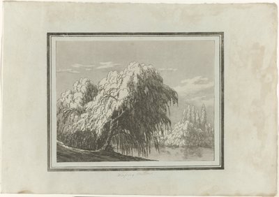 Weeping Willow by John Robert Cozens