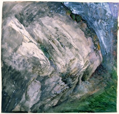 Rocks and Vegetation at Chamouni, 1854 by John Ruskin