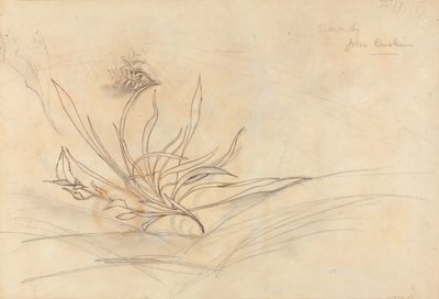 The Rocky Bank of a River by John Ruskin