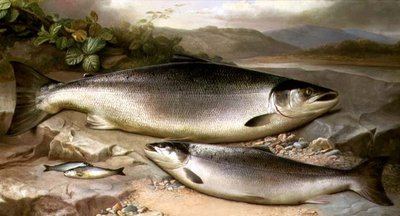 Fish Still Life by John Russell