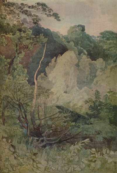 Trees Near The Greta River by John Sell Cotman