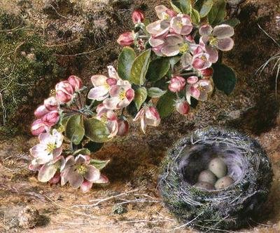 Blossom and Bird