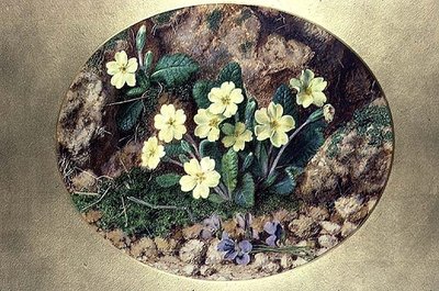 Primroses and Violets by John Sherrin