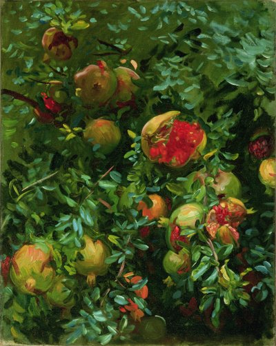 Pomegranates, Majorca by John Singer Sargent