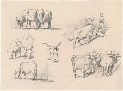 Studies of Cattle by John Singer Sargent
