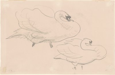 Studies of a Swan, 1880-1900 by John Singer Sargent