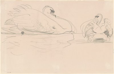 Swans in the Water by John Singer Sargent