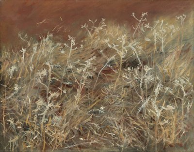 Thistles by John Singer Sargent