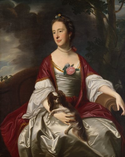 Mrs. Jerathmael Bowers, ca. 1763 by John Singleton Copley