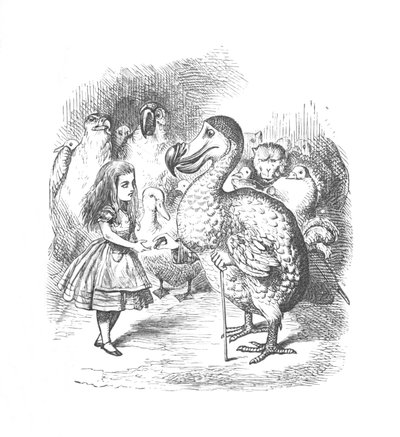 Alice and the Dodo, 1889 by John Tenniel
