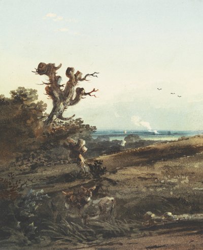 Two Donkeys in a Landscape by John Varley