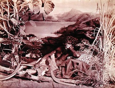 Australian, c.1874 by John W. Lindt