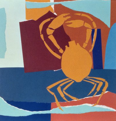 Spider Crab by John Wallington