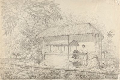 Waheiadooa, Chief of Oheitepha, Lying in State by John Webber