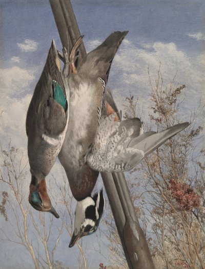 Hanging Game Birds by John William Hill