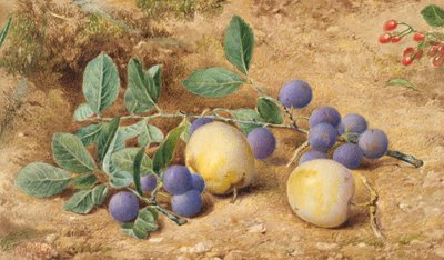 Plums, 1870 by John William Hill