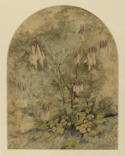 Wildflowers by John William Hill
