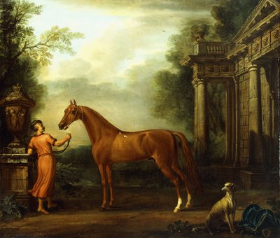 The Chestnut Arabian of Hampton Court by John Wootton