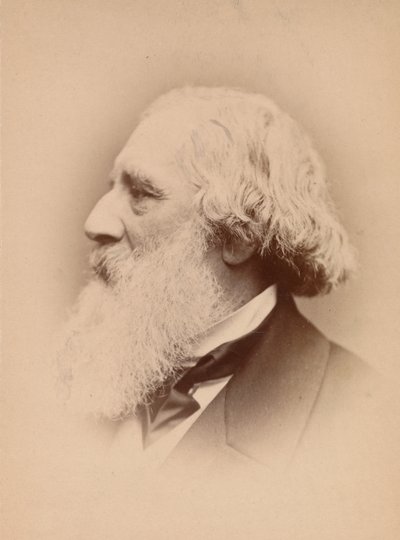 John Frederick Lewis by John and Charles Watkins