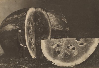 Man Cutting Watermelon by Johnson